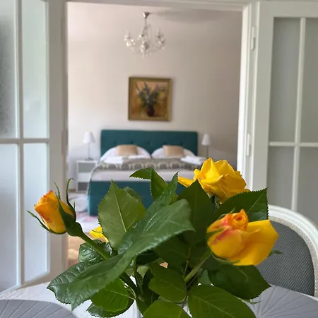 Apartma V Srdci Podebrad *